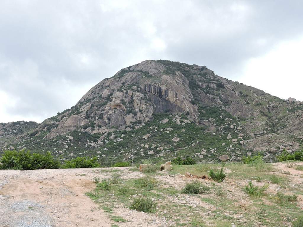 Images for Main Other of Wellnest Skandagiri County