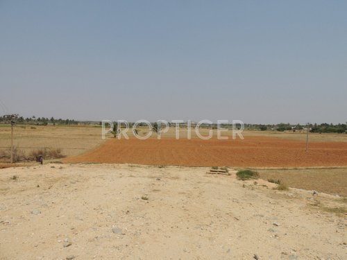 Images for Main Other of Wellnest Skandagiri County