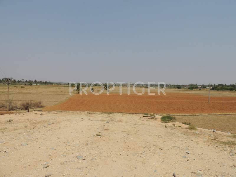 Images for Main Other of Wellnest Skandagiri County
