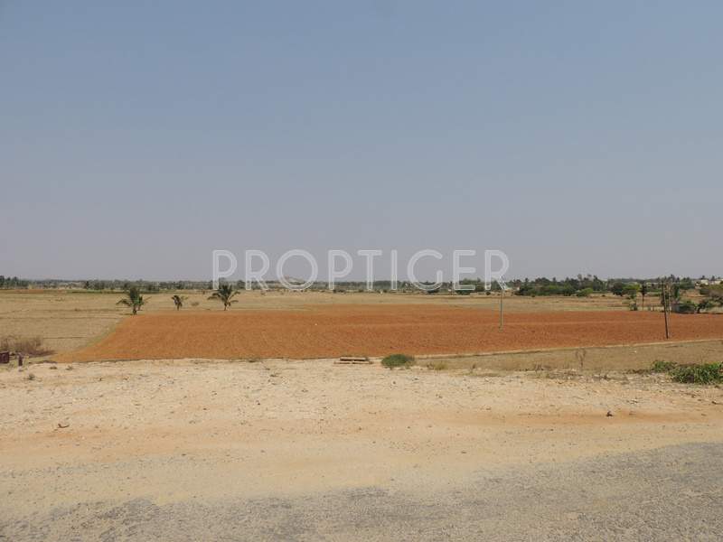 Images for Main Other of Wellnest Skandagiri County