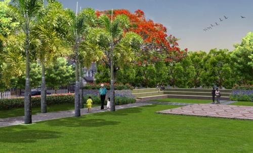  rio Landscape Garden and Tree Planting