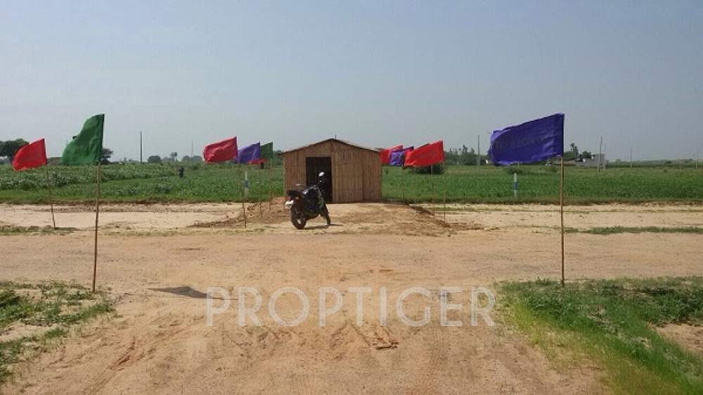 Images for Main Other of SDH Rose City