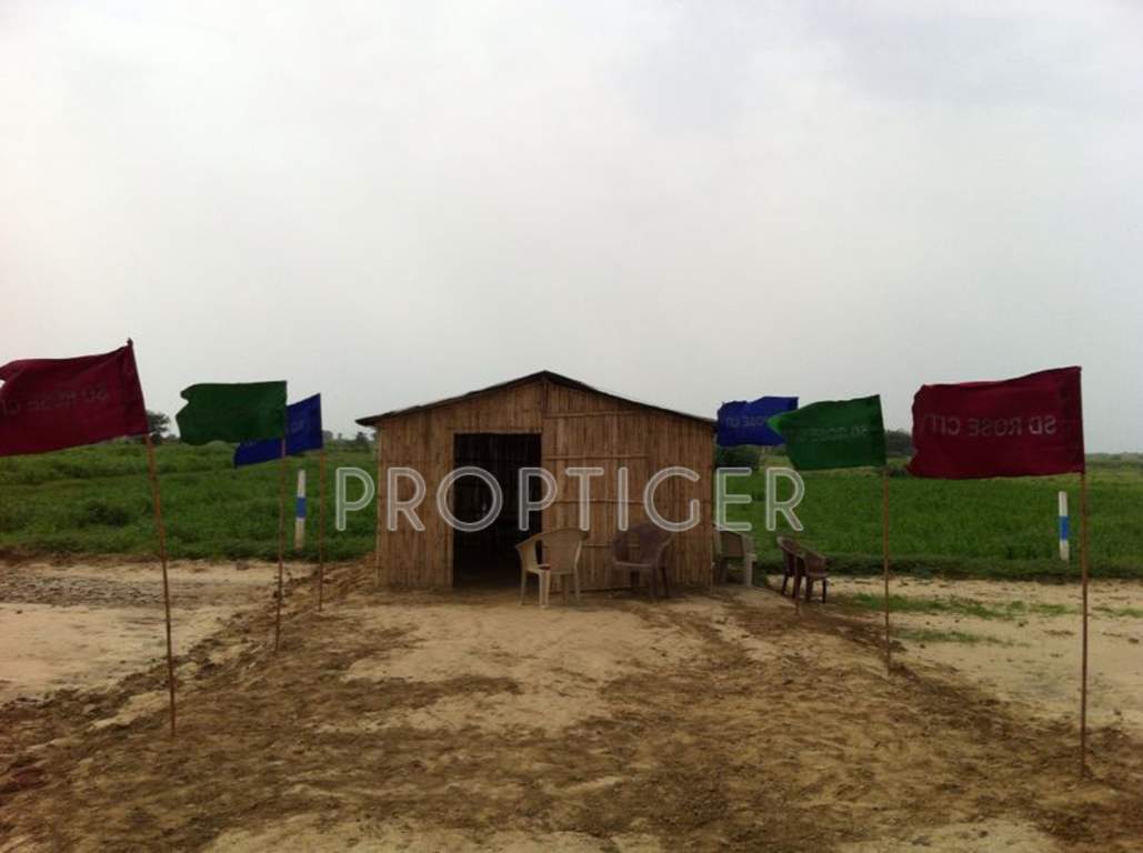 Images for Main Other of SDH Rose City