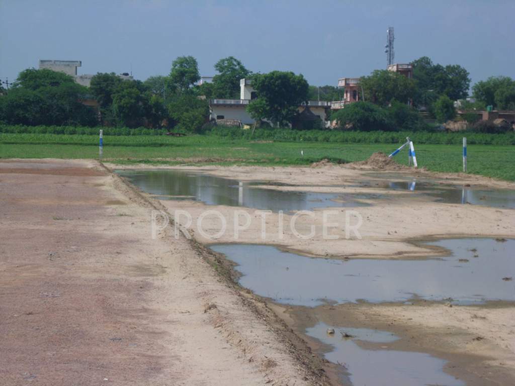 Images for Main Other of SDH Rose City