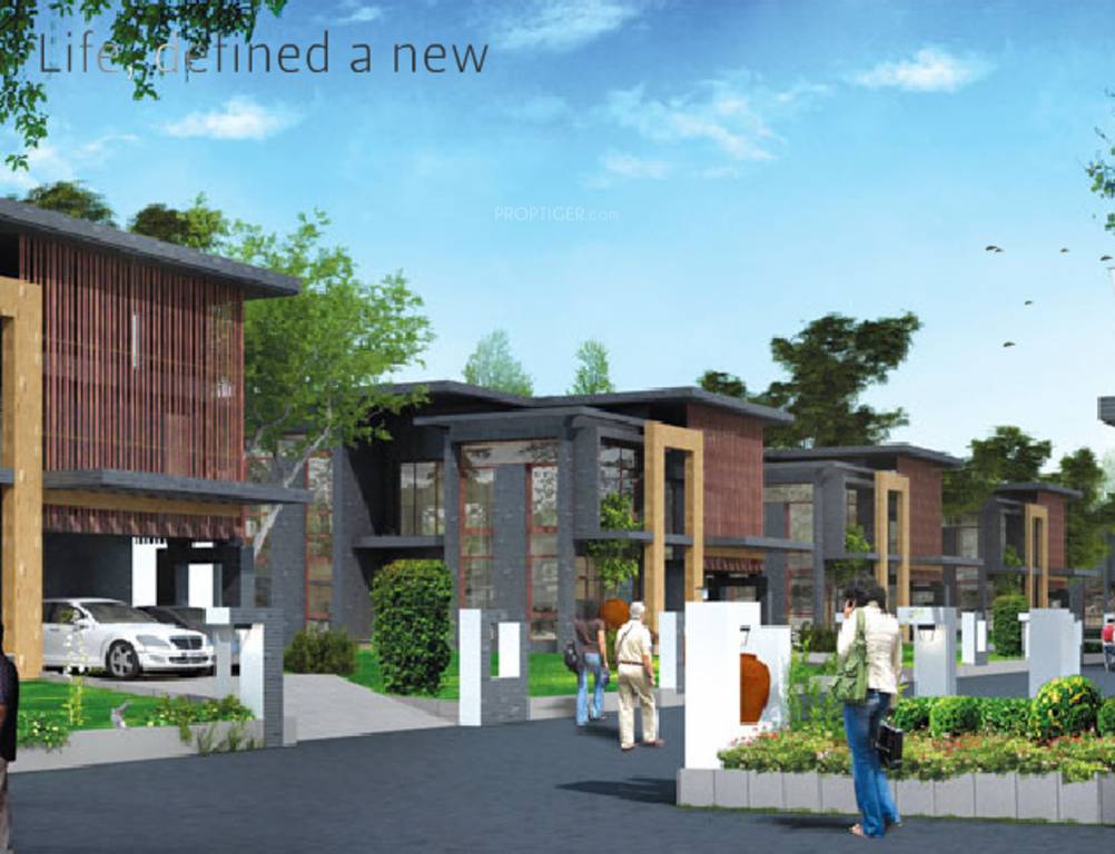 Images for Elevation of Synthite Ginger County