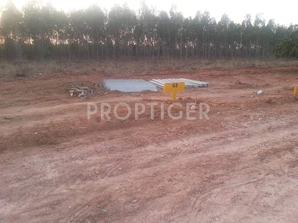 Images for Main Other of Akshaya Vintage Venezia