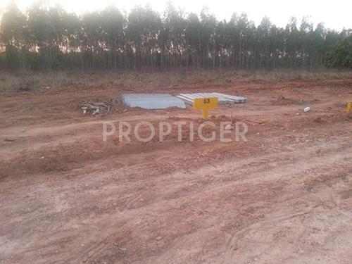 Images for Main Other of Akshaya Vintage Venezia Images for Main Other of Akshaya Vintage Venezia