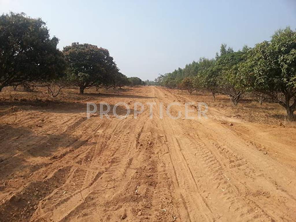 Images for Main Other of Akshaya Vintage Venezia