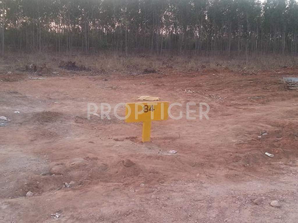 Images for Main Other of Akshaya Vintage Venezia