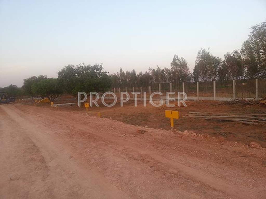 Images for Main Other of Akshaya Vintage Venezia