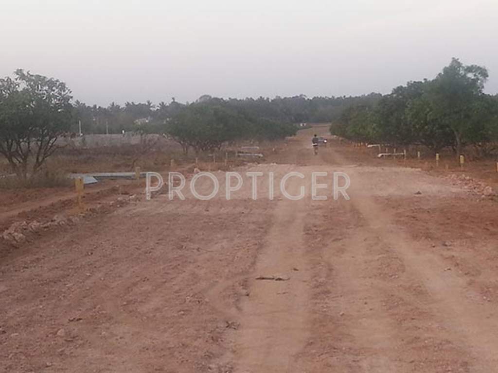 Images for Main Other of Akshaya Vintage Venezia