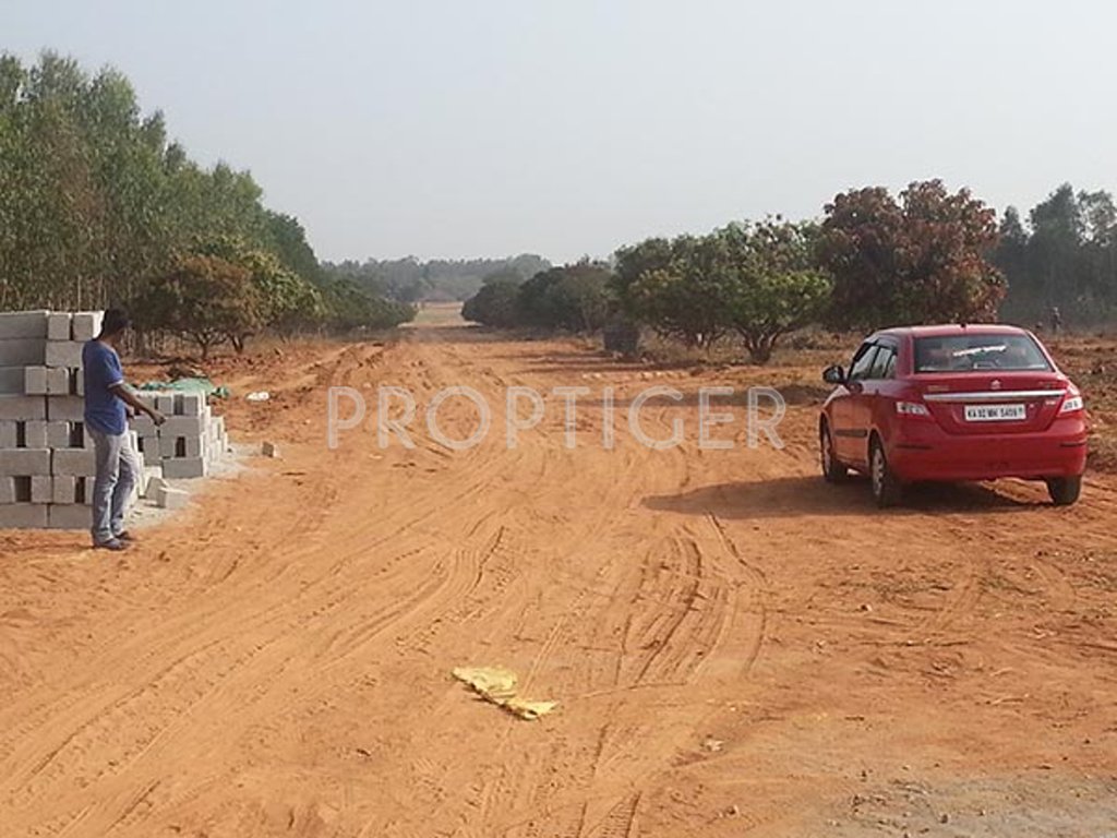 Images for Main Other of Akshaya Vintage Venezia