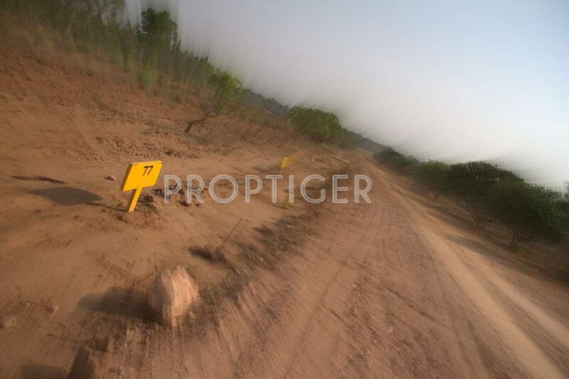 Images for Main Other of Akshaya Vintage Venezia