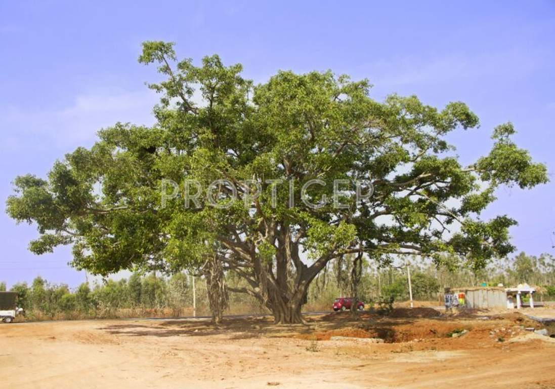 Images for Main Other of Akshaya Vintage Venezia