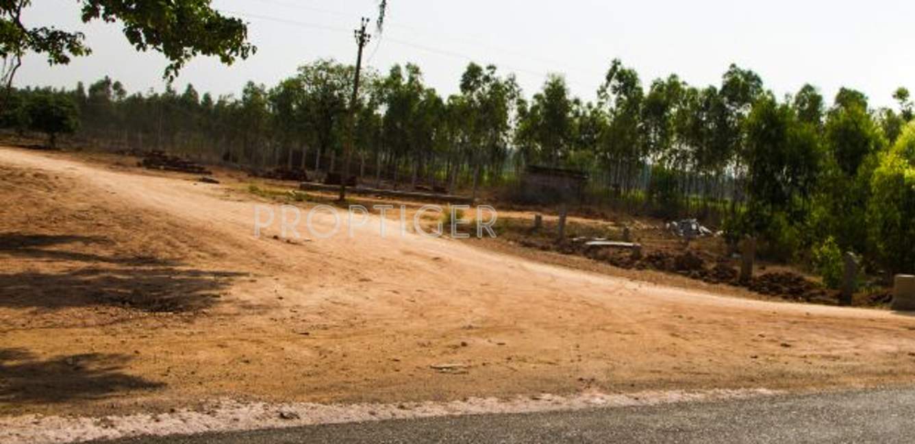 Images for Main Other of Akshaya Vintage Venezia