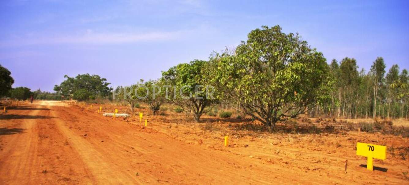 Images for Main Other of Akshaya Vintage Venezia