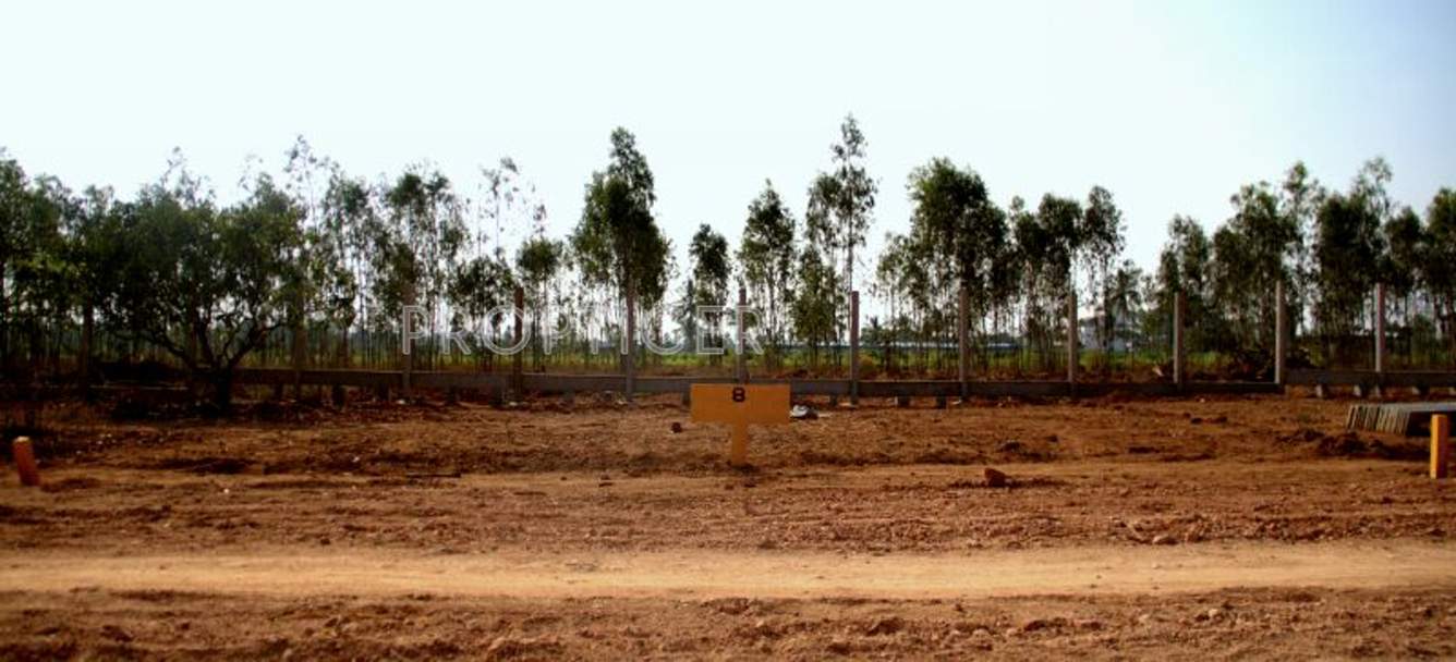 Images for Main Other of Akshaya Vintage Venezia