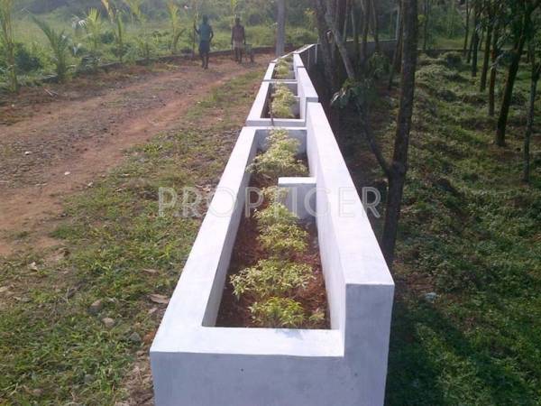 Images for Main Other of Sinmar Grance Images for Main Other of Sinmar Grance