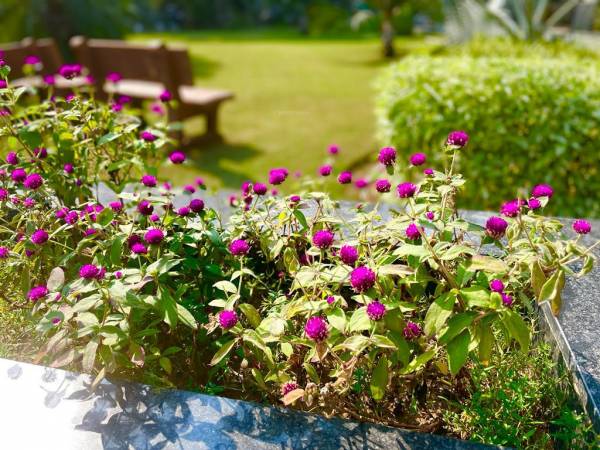 Electrification(Transformer, Solar Energy etc) shikhar Electrification(Transformer, Solar Energy etc)