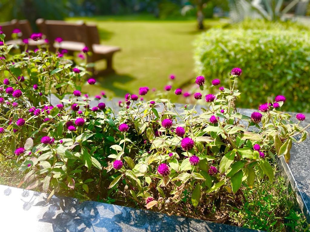 shikhar Electrification(Transformer, Solar Energy etc)