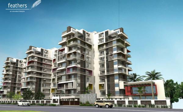 Images for Elevation of Feathers Feathers feathers Images for Elevation of Feathers Feathers