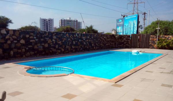 Swimming Pool feathers Swimming Pool