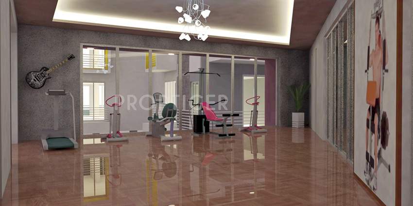 feathers Images for Main Other of Feathers Feathers