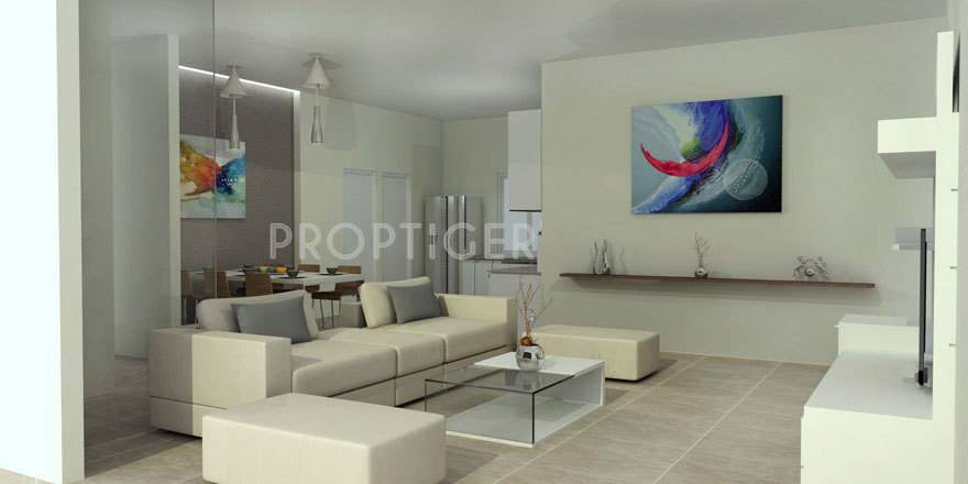 feathers Images for Main Other of Feathers Feathers