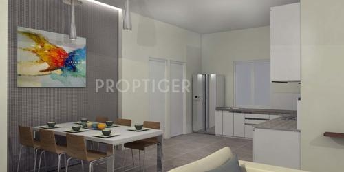 Images for Main Other of Feathers Feathers feathers Images for Main Other of Feathers Feathers