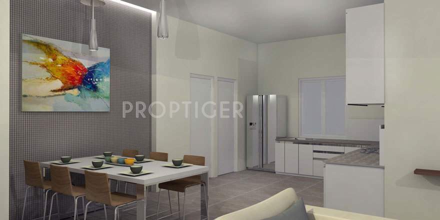 feathers Images for Main Other of Feathers Feathers