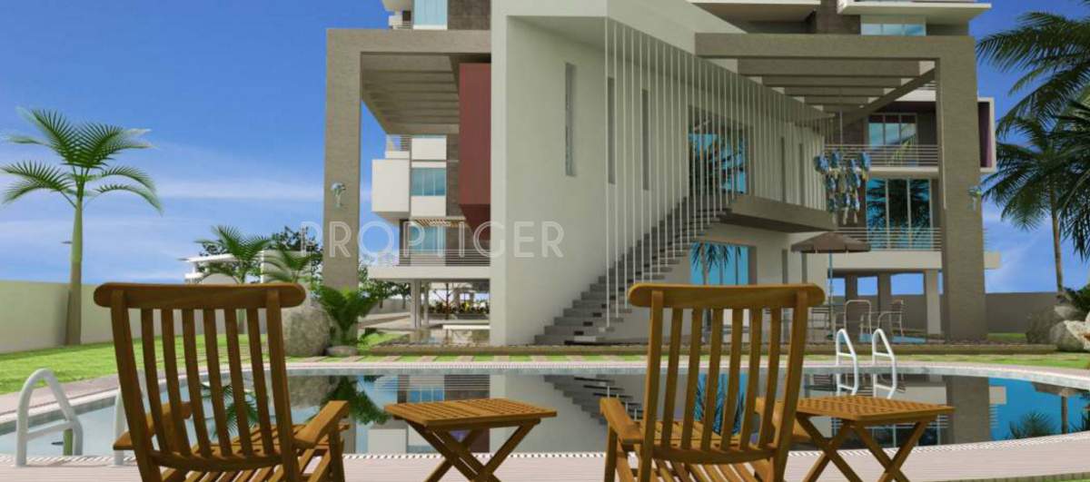 feathers Images for Main Other of Feathers Feathers