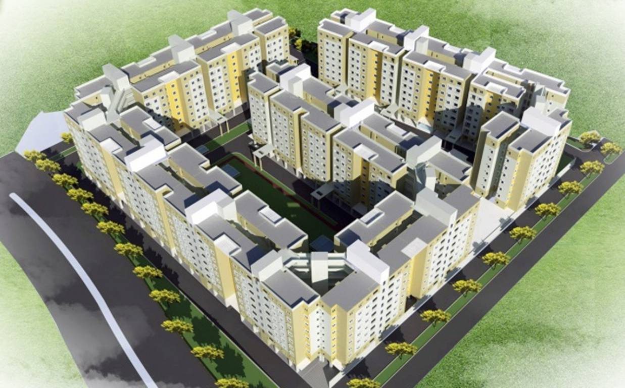  cedar Images for Elevation of Brigade Cedar