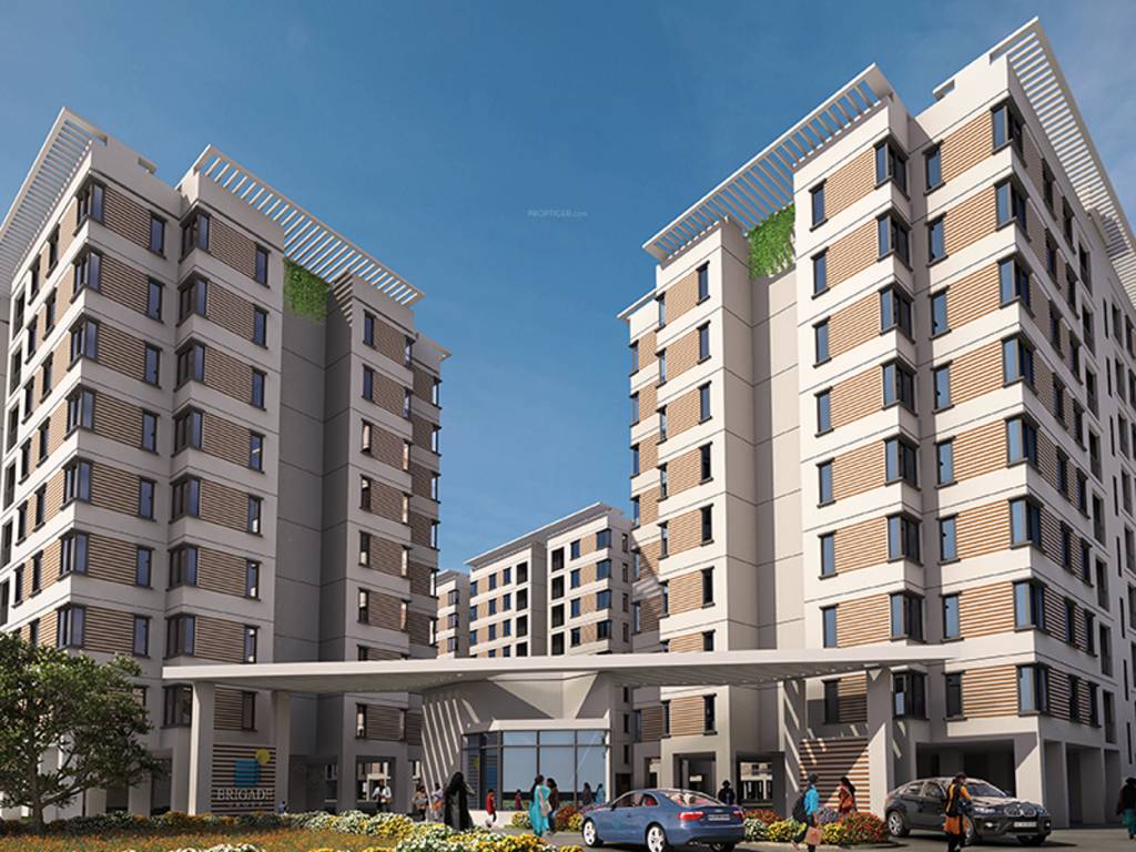  cedar Images for Elevation of Brigade Cedar