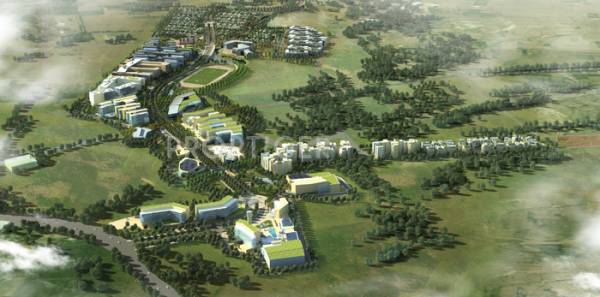  deodar Images for Elevation of Brigade Deodar