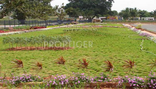 rashi-developers residency-phase-2 Main Other