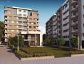 Jala Group Palmera
