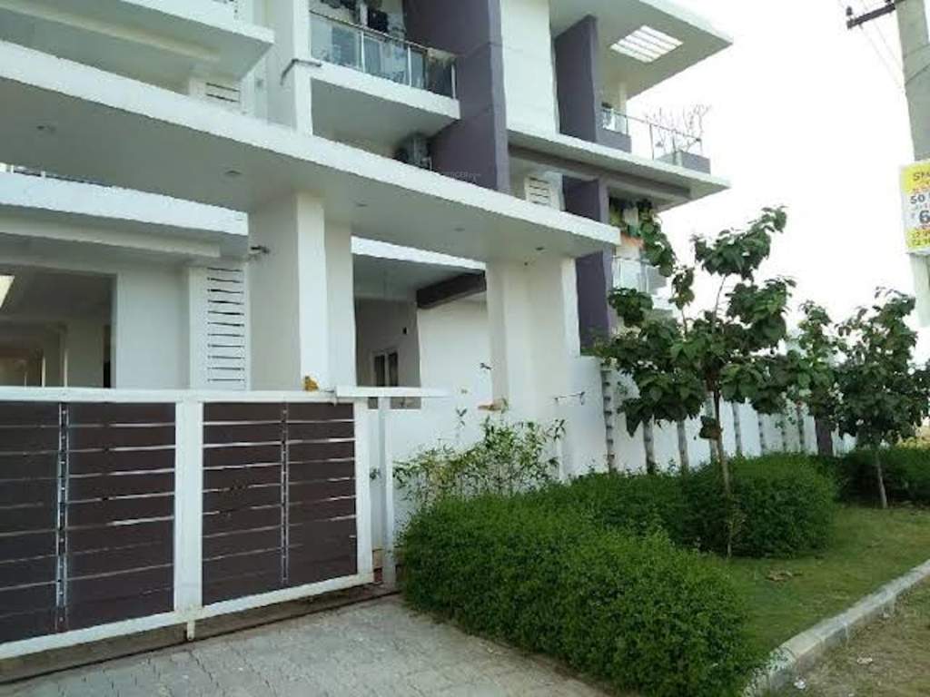  silver springs Images for Project