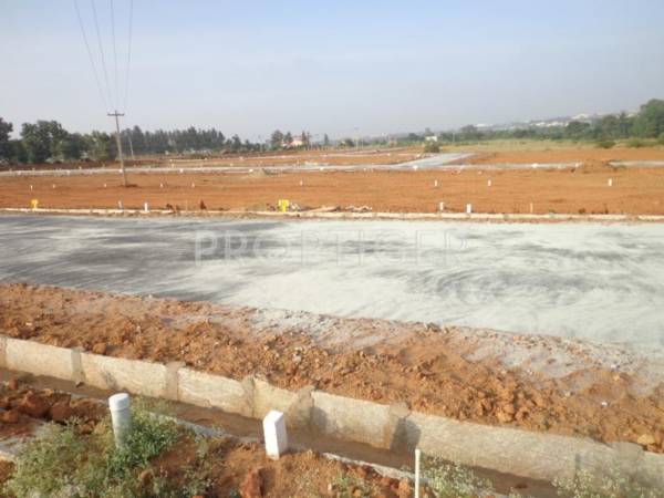 Main Other meadows Main Other