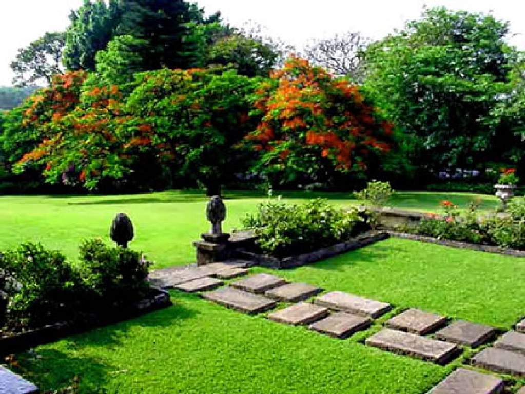 trixie Images for Amenities of Gami Trixie