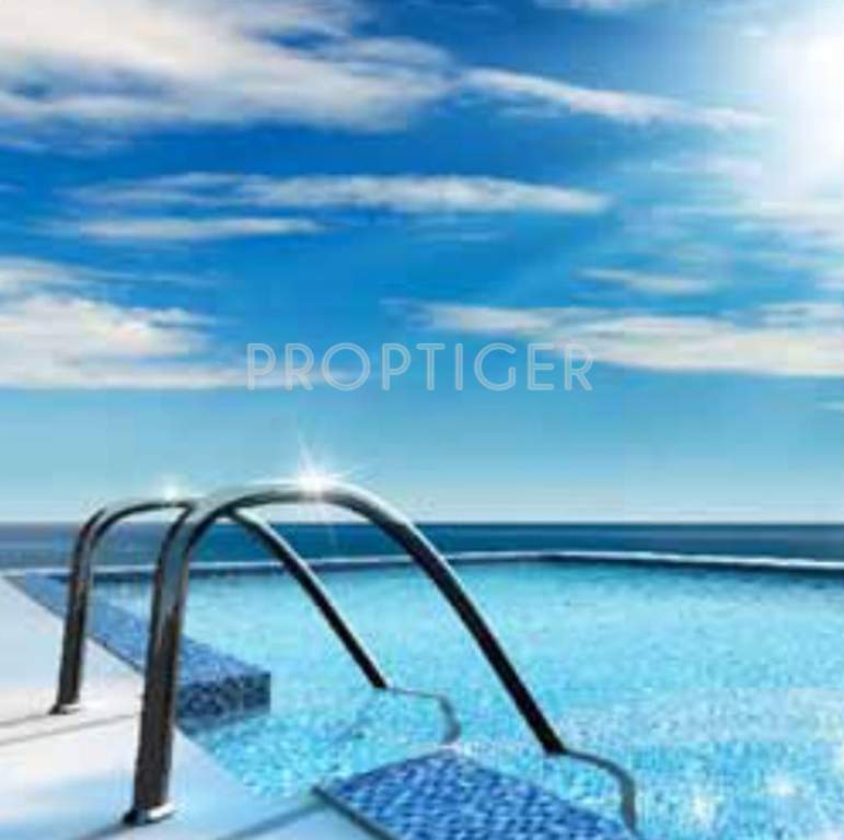 trixie Images for Amenities of Gami Trixie