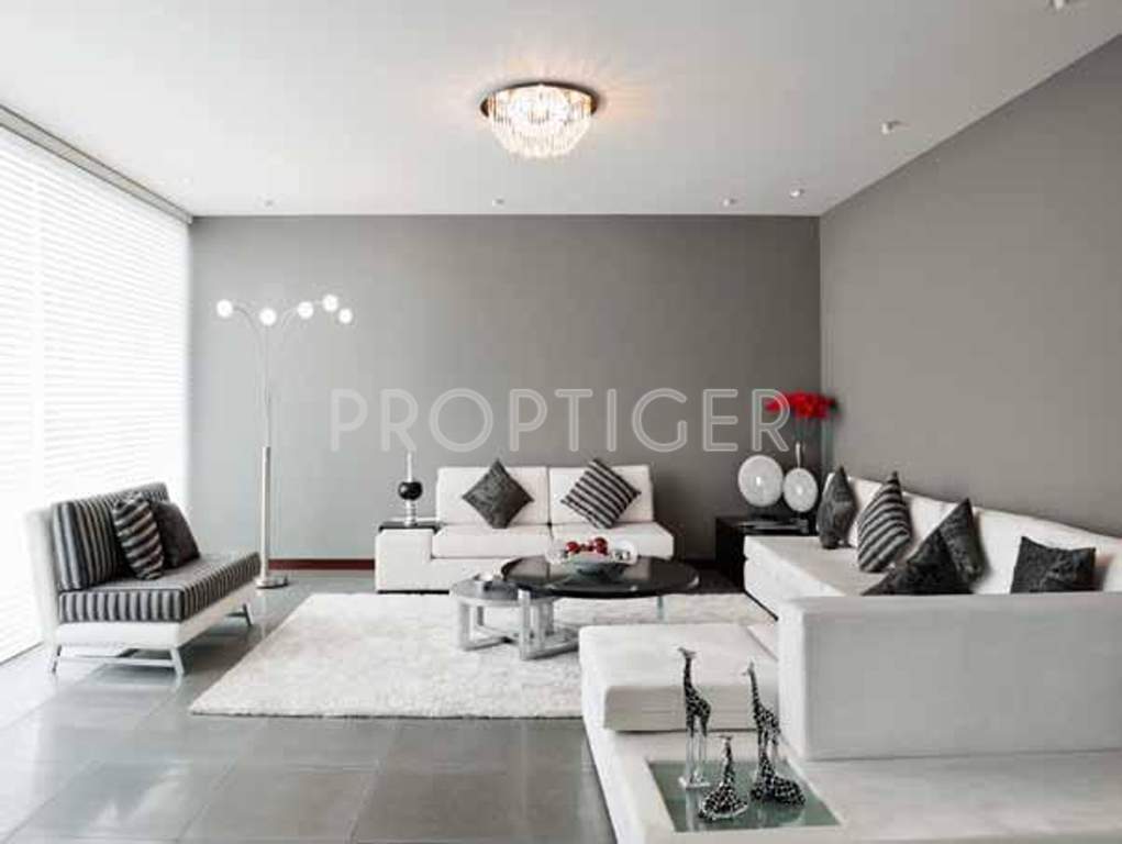 trixie Images for Main Other of Gami Trixie