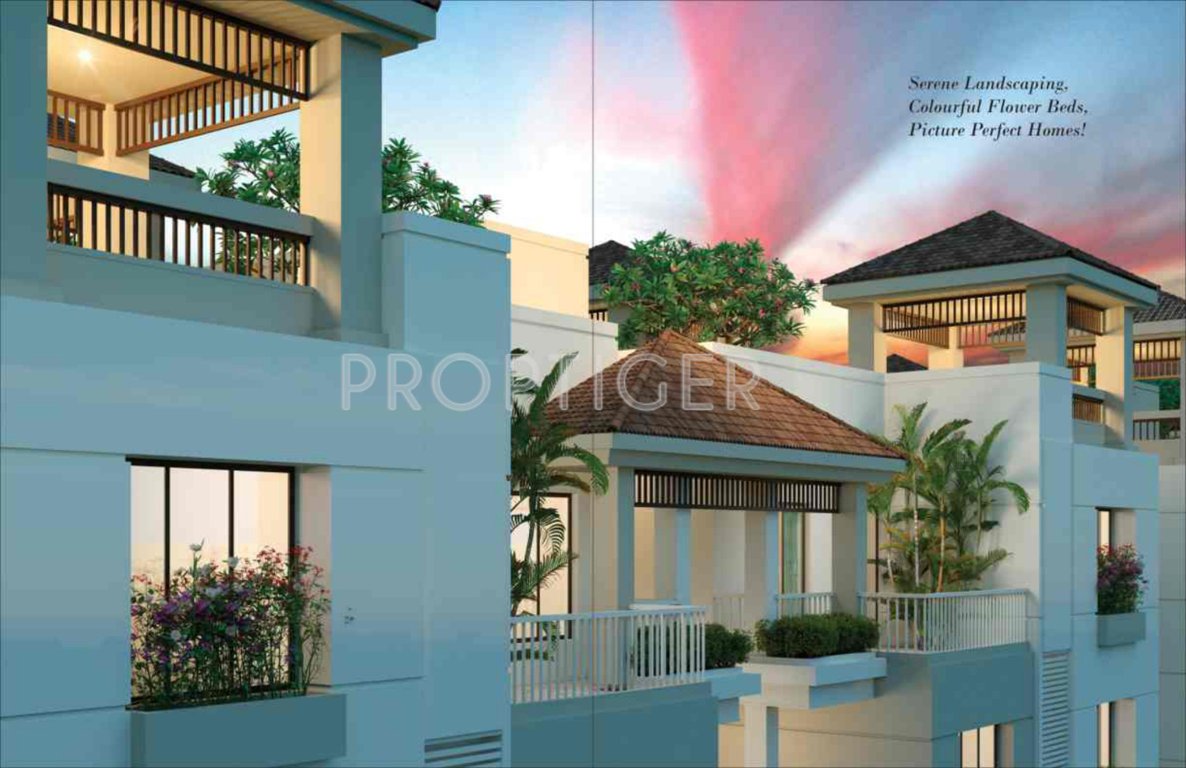 Images for Elevation of Fortune Greenfield 3