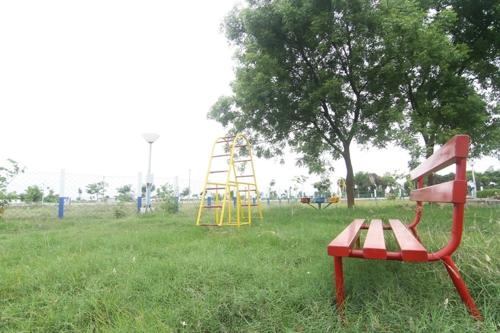 Landscape Garden and Tree Planting elite Landscape Garden and Tree Planting