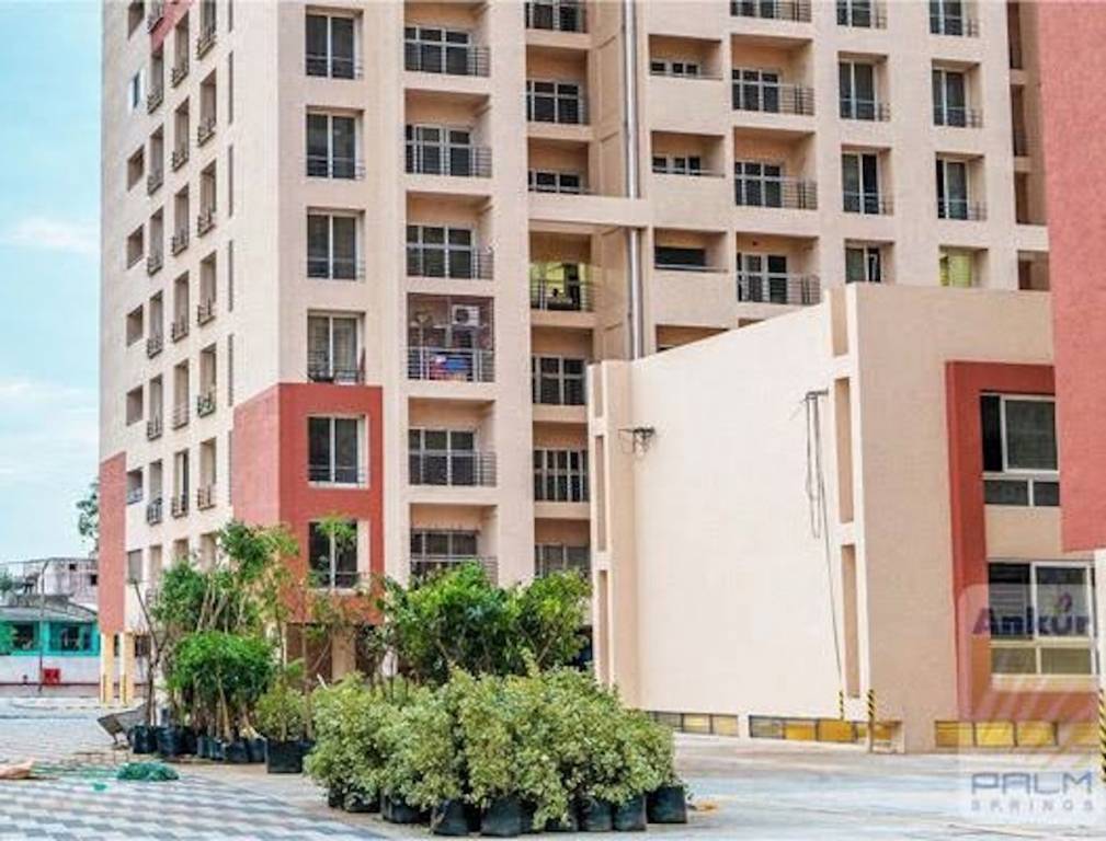 palm springs Elevation