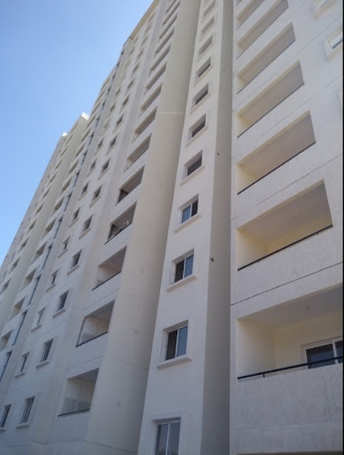  orchard square Elevation