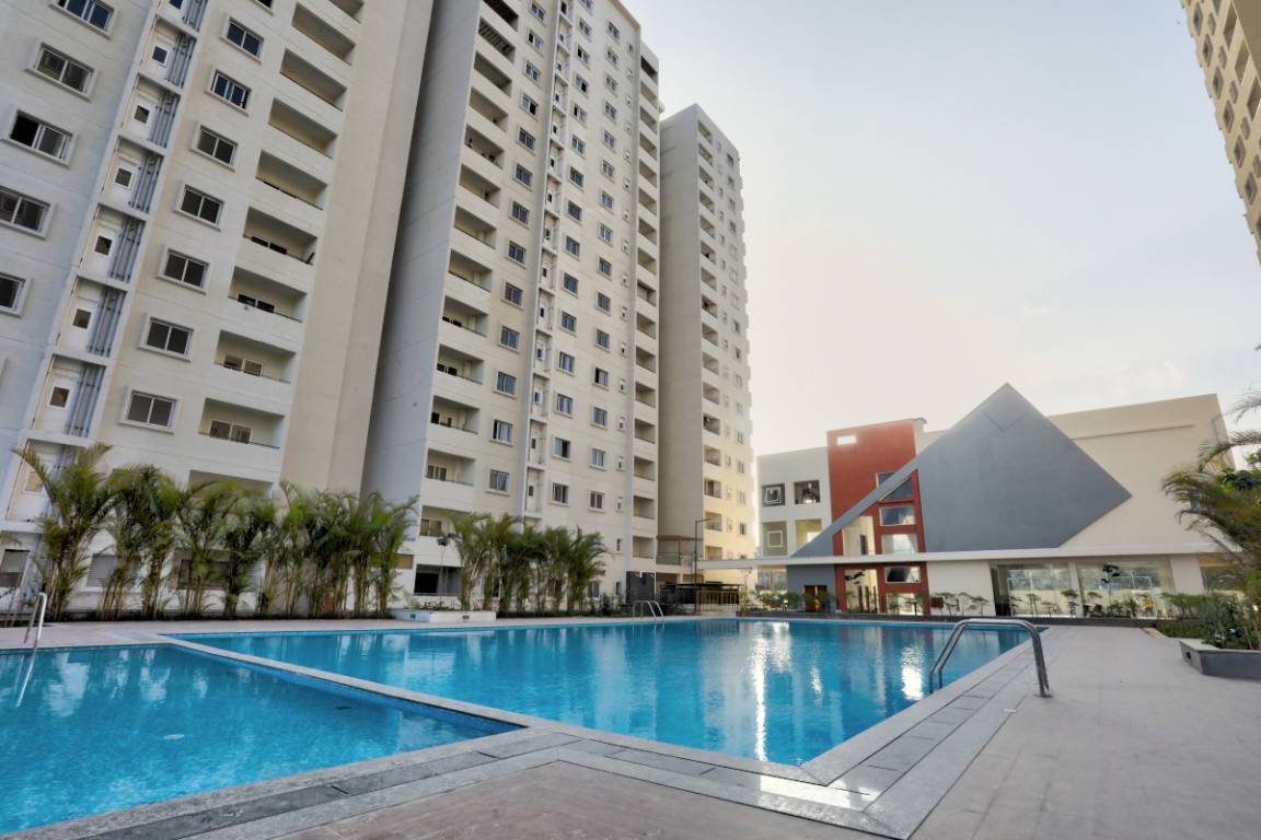  orchard square Elevation