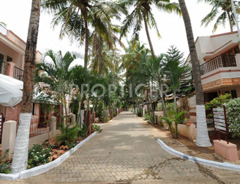 Images for Elevation of Parsn Group Palm Legend
