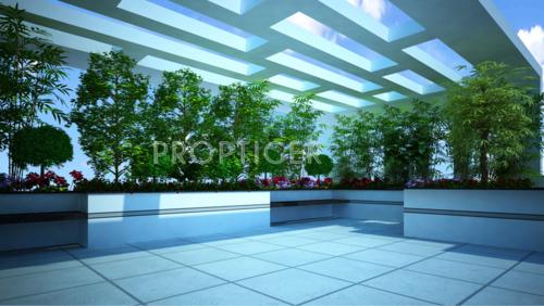 Images for Main Other of Sri Dhatri Tulip Images for Main Other of Sri Dhatri Tulip