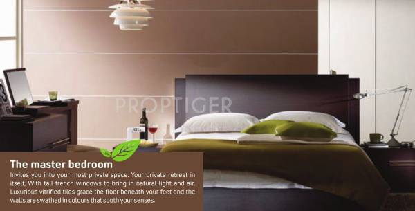 Images for Main Other of SVC Belinda