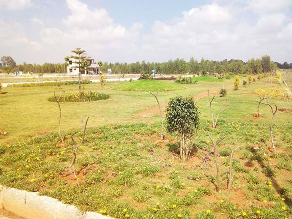 Images for Amenities of Apranje Grandeur